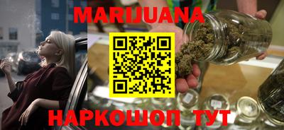 крисы Пенза
